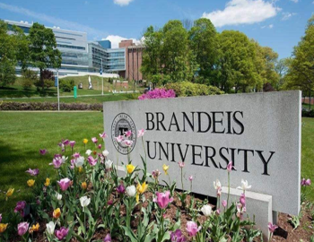 2000分出头SAT竟然攻破Brandeis,这个妹子完美演绎了＂后来者居上"